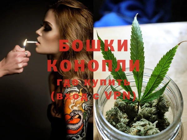 мяу мяу мука Белокуриха