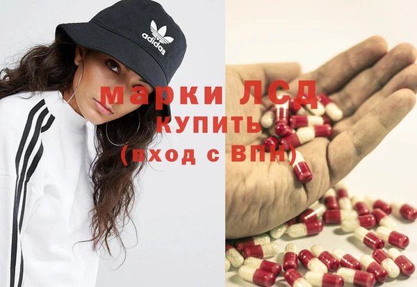 мяу мяу мука Белокуриха